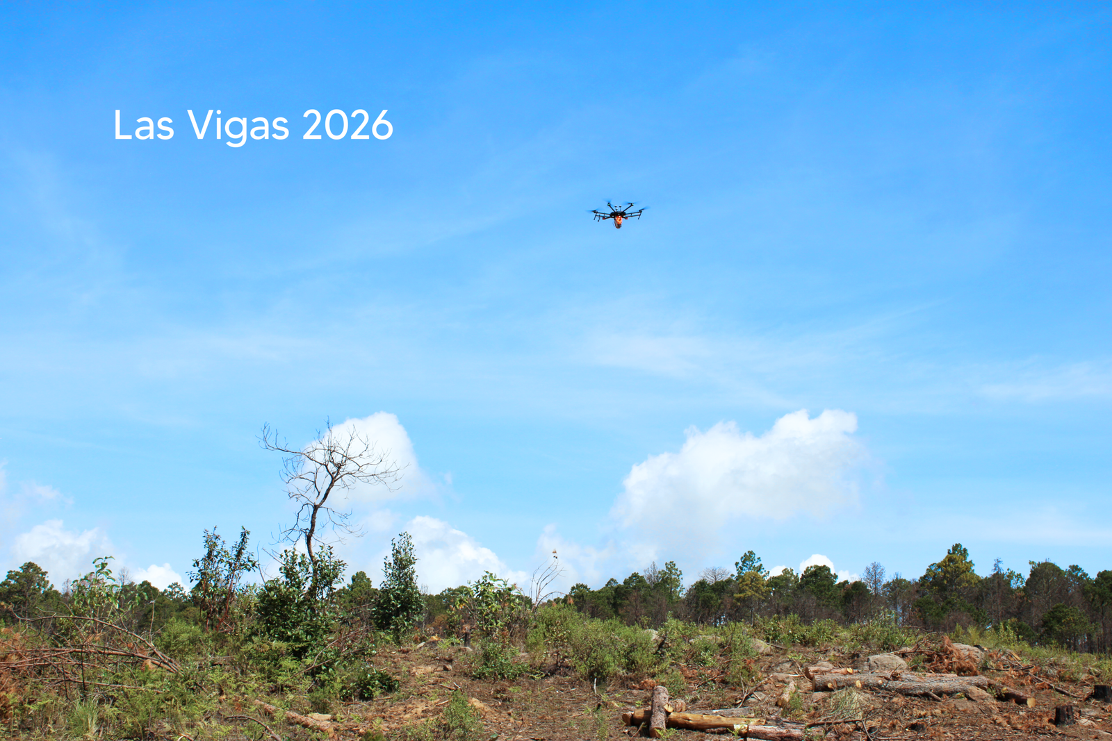 Campaña de reforestación